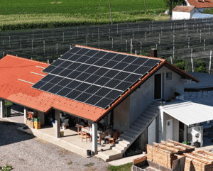 Solarni paneli u poljoprivredi: Kako je Gazdinstvo Kovačević stvorilo održivu plantažu borovnica